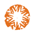 CARE France logo